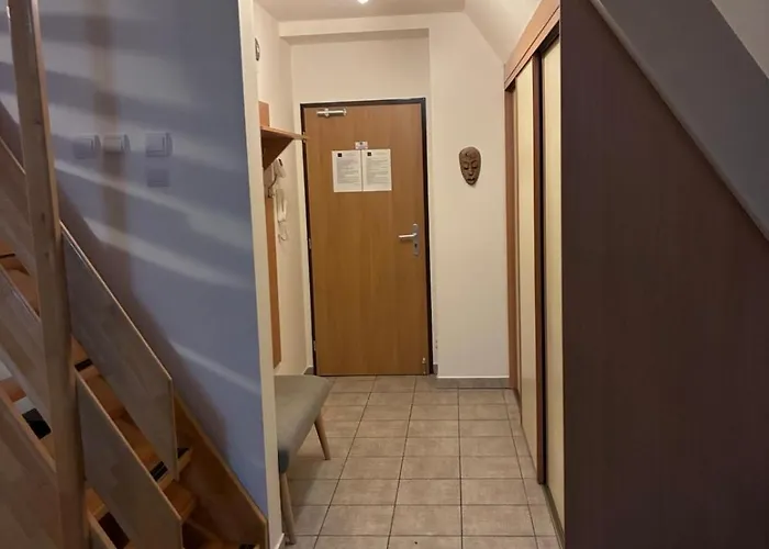 Aura Loft 塔查斯卡-鲁穆尼卡